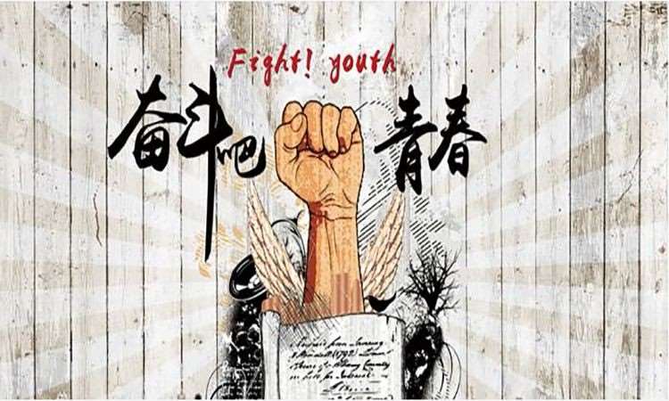 石家庄金政公考