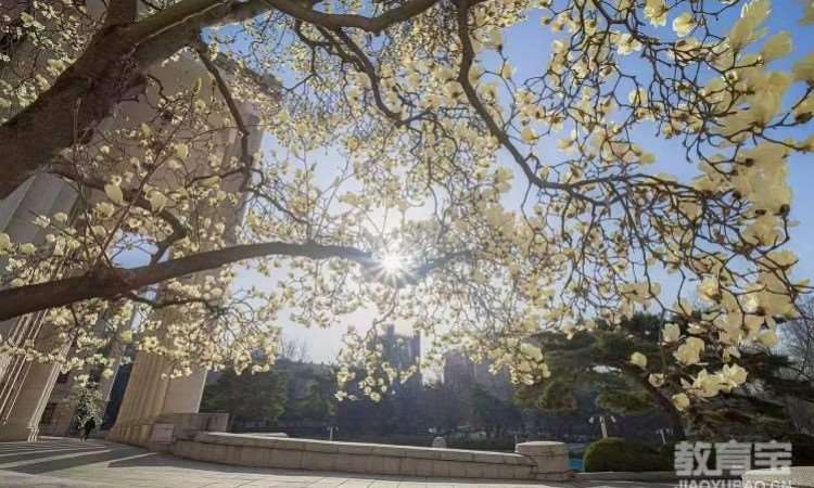 北京万博起航教育