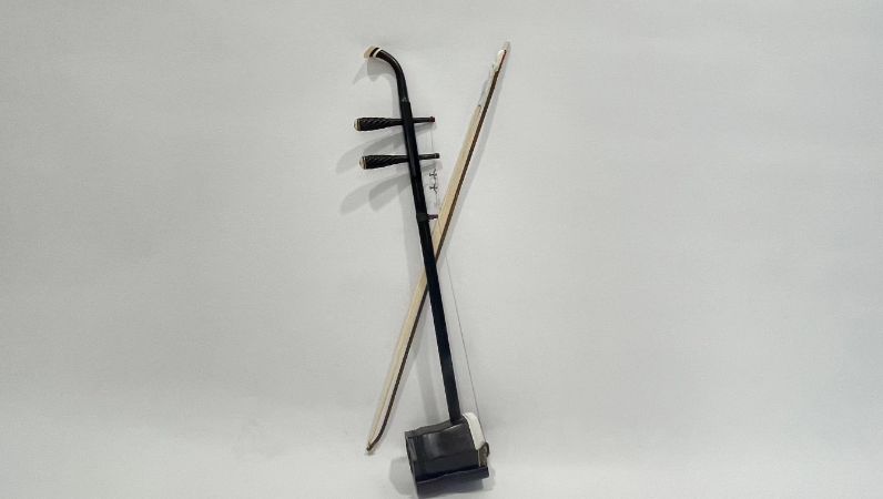 重庆孩子二胡培训