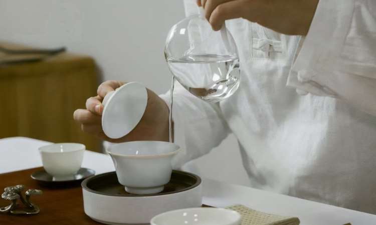 三品茶学茶艺评茶培训