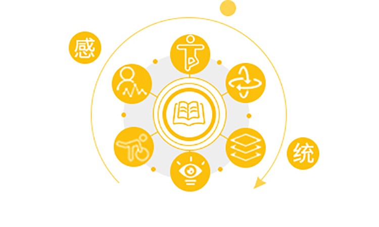 成都感觉统合干预