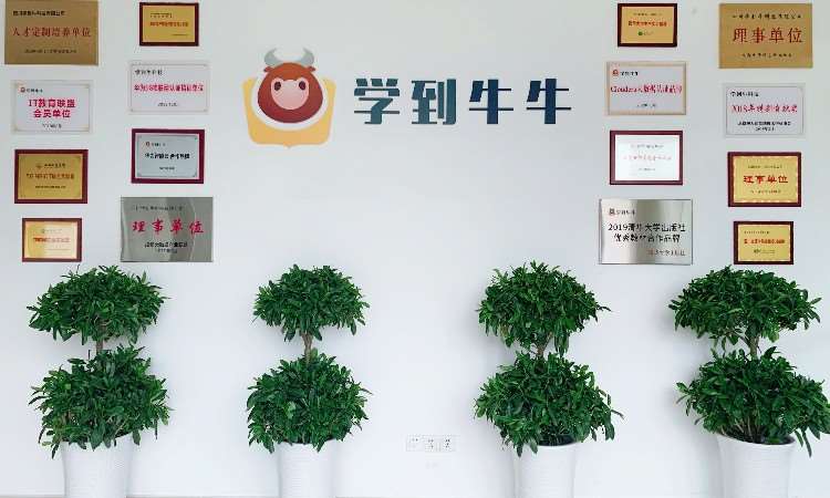 四川学到牛科技有限公司