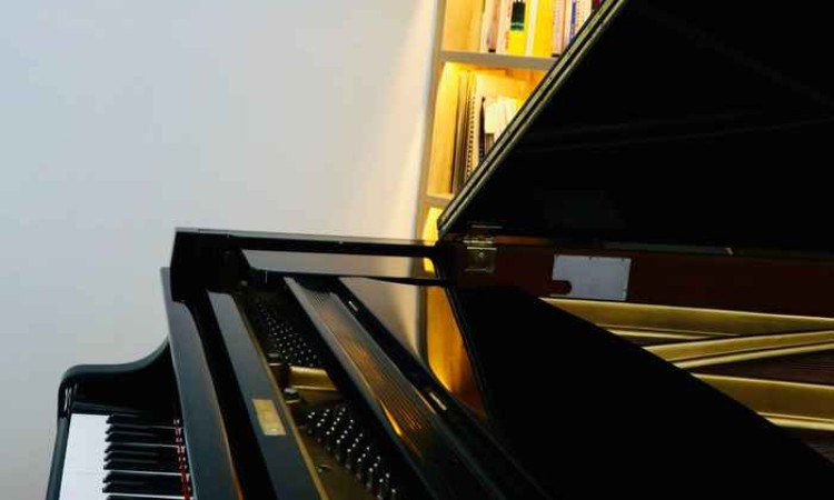 苏州尼云飘彩教育