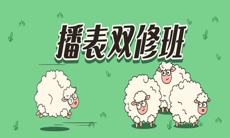 北京播音主持艺术考前辅导