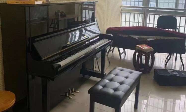 烟台市莱山区金韵艺术培训学校