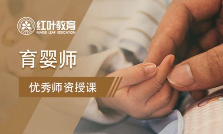 大连职业育婴师培训学校