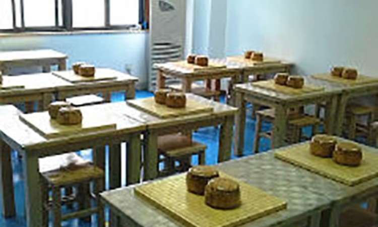 武汉艺渡星丹朱围棋