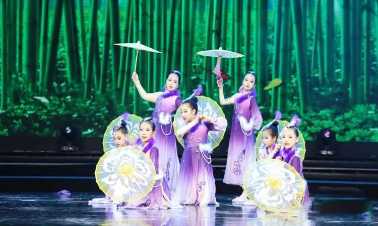 石家庄舞动奇迹舞蹈学校