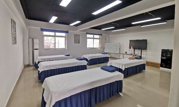 郑州松子中医职业培训学校