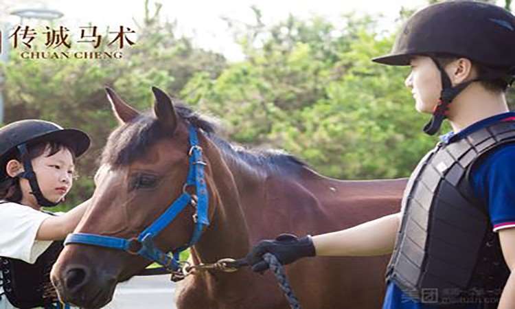 爱氏传诚马术(烟台大悦城中心)