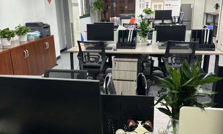 重庆纽艾迪国际研究院