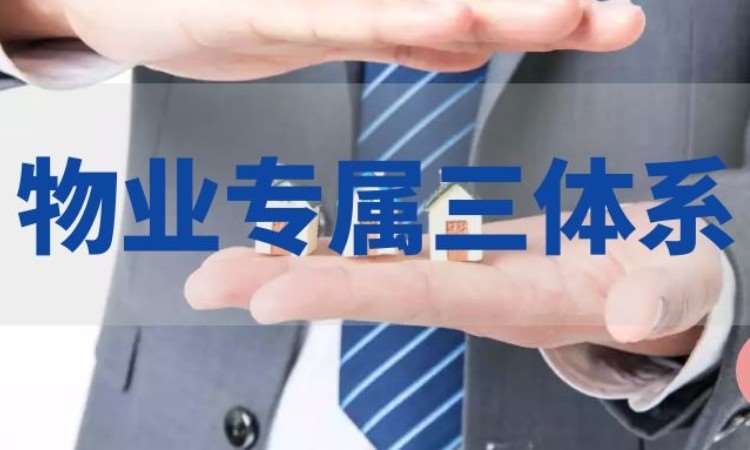 成都齐力飞扬教育