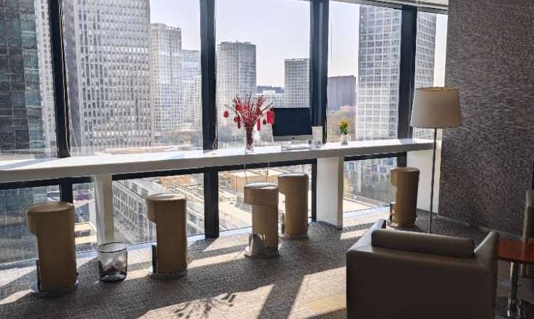 Yoloo留学国际教育