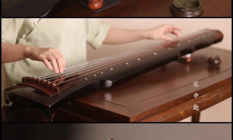 西安成人学古琴