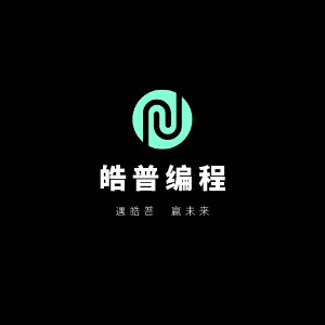 皓普编程