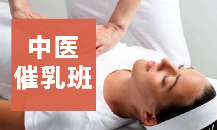 合肥催乳师培训班