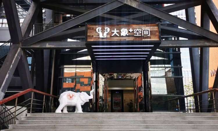 宁波黑山羊森林教育