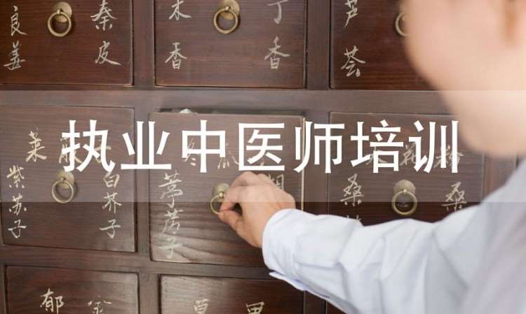 武汉执业中药师考前培训