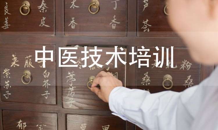 武汉中医保健培训