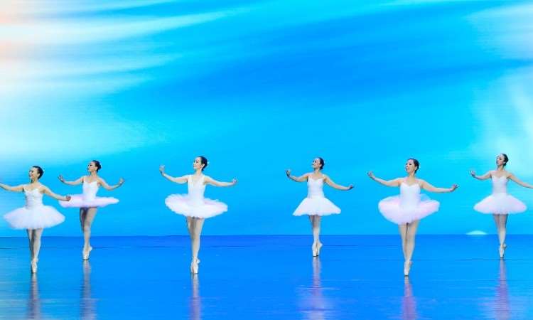 成都形体芭蕾舞培训