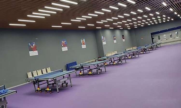 长沙青少年乒乓球培训