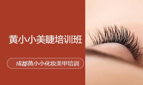 黄小小美睫培训班