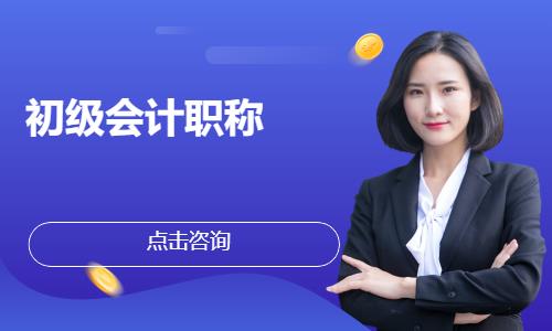 南京初级会计师补习班