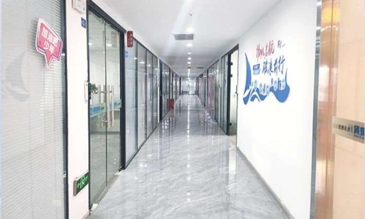 武汉小黑课堂专升本培训