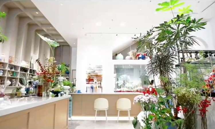 大连十意艺术·少儿芭蕾艺术中心