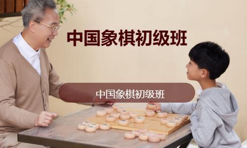 中国象棋初级班
