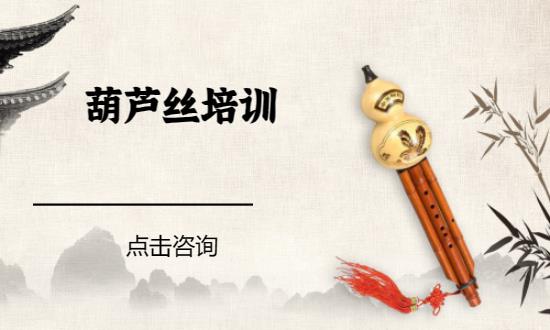 重庆葫芦丝学校