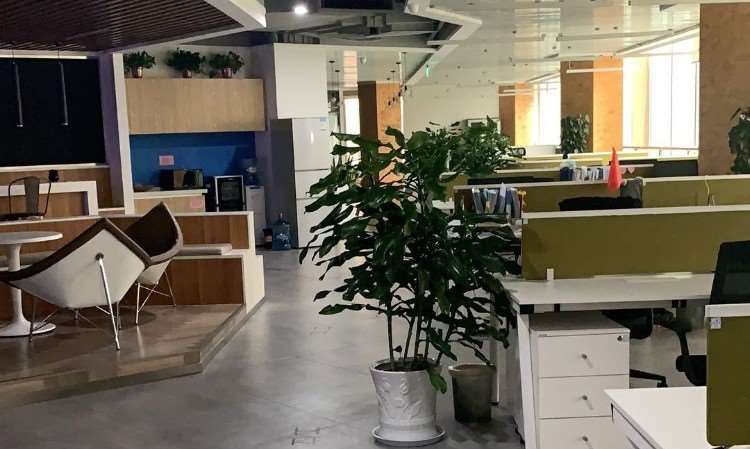 陕西诺思格姐妹企管