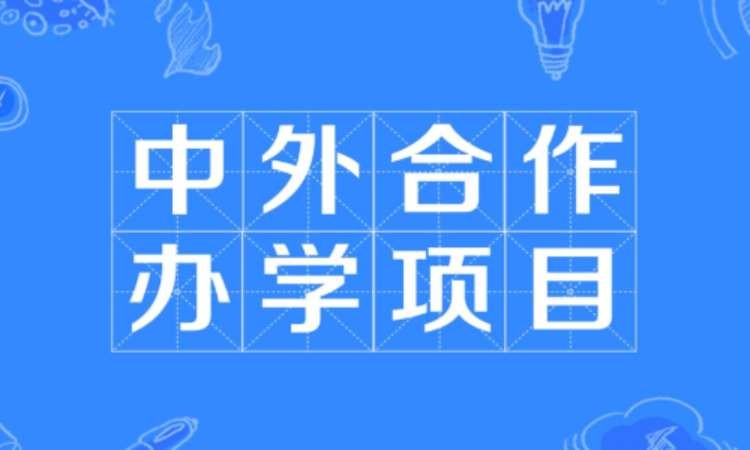 中外合作院校升学规划指导服务