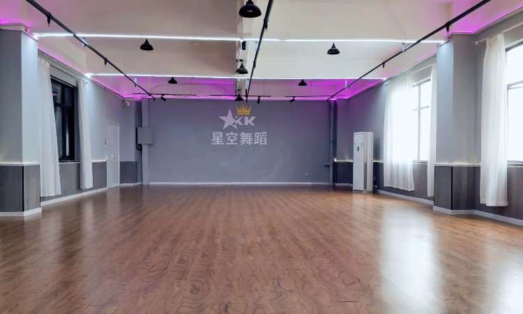 河南省星空舞蹈艺术中心