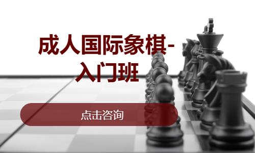 成都国际象棋培训学校