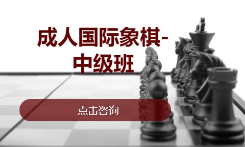 成都国际象棋培训机构