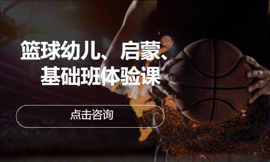 篮球幼儿、启蒙、基础班体验课
