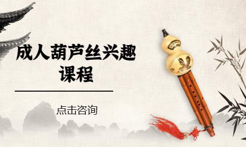 成都葫芦丝的学习