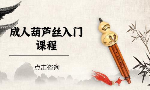 成都葫芦丝培训班