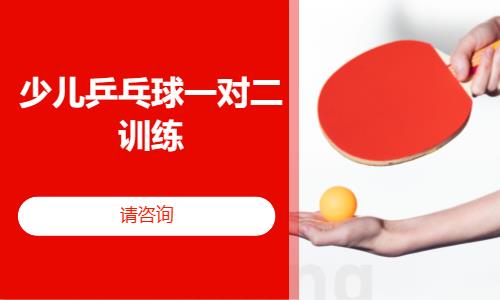 成都青少年乒乓球培训
