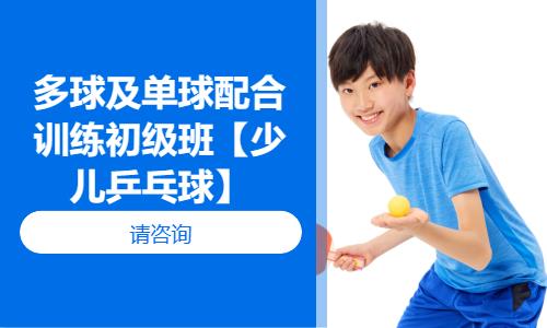 成都少儿乒乓球培训机构