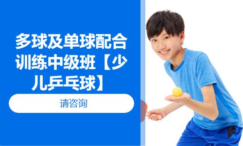 成都少儿乒乓球训练