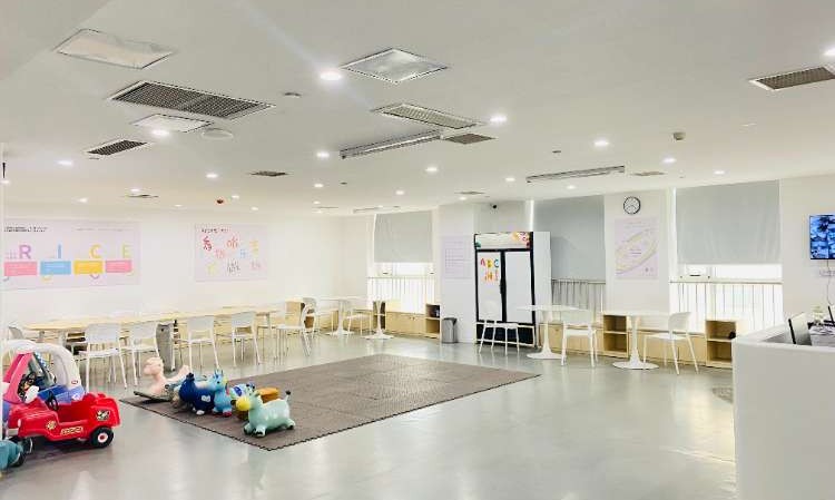 苏州大米和小米