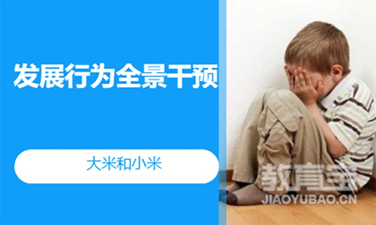 郑州发展行为全景干预