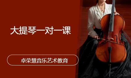 东莞大提琴培训学校
