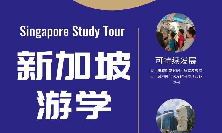 天津国际游学营