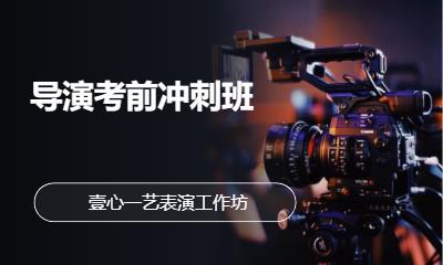 北京电视编导艺术生培训