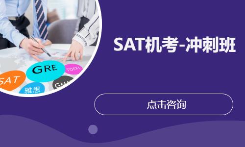 上海sat一对一培训班