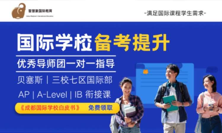 成都智慧象国际教育