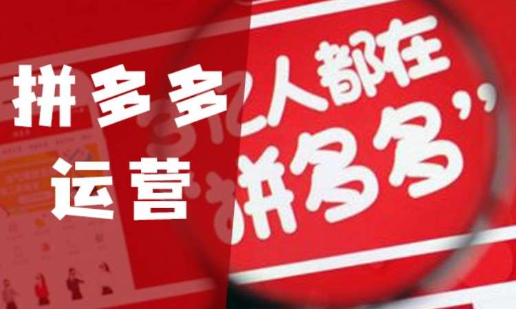 沈阳拼多多运营培训
